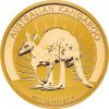 australijski-kangur1